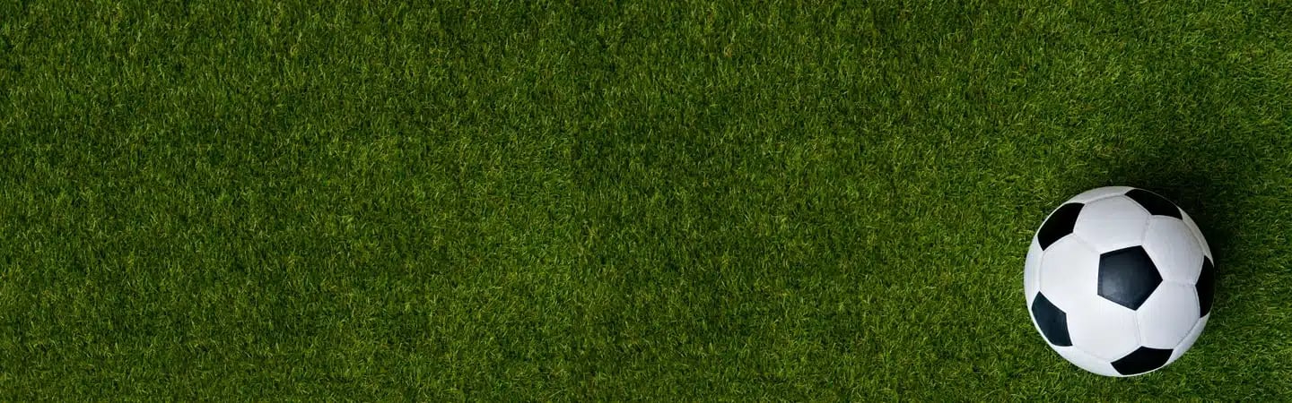 A soccer ball rests on a grassy field, positioned towards the right side of the image.
