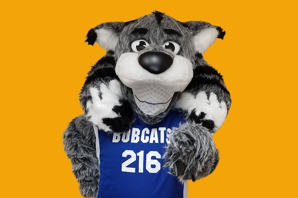 A bobcat mascot wearing a blue jersey with "BOBCATS 216" on the front stands against an orange background.