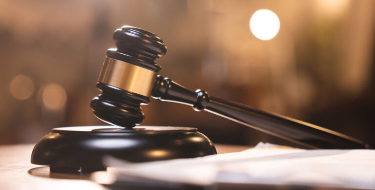 A close-up of a wooden gavel on a sound block, symbolizing the components of the criminal justice system and legal proceedings.